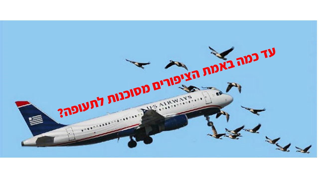 ציפורים ותעופה – האם ציפור יכולה להפיל מטוס?