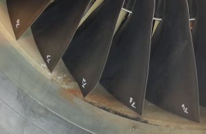 פגיעת ציפורים במנוע