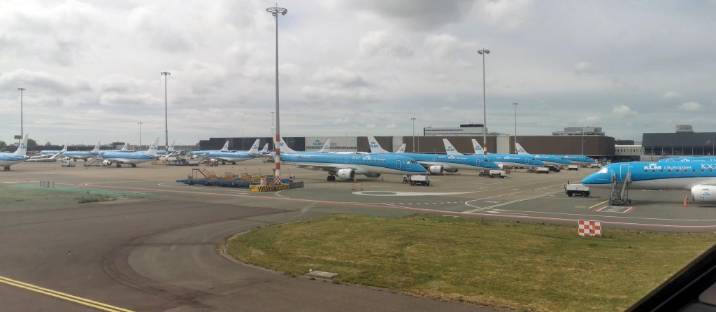 אחסון באמסטרדם עדיין לא חוזרים לטוס